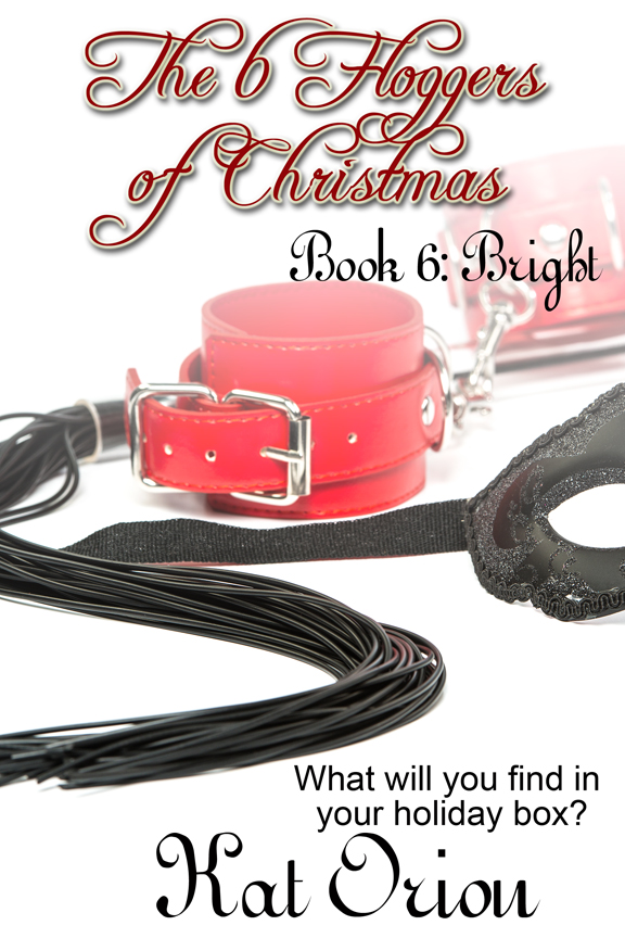 Book Cover: The 6 Floggers of Christmas Book 6: Bright