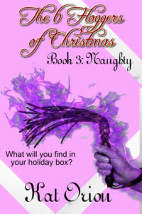 Book Cover: The 6 Floggers of Christmas Book 3: Naughty